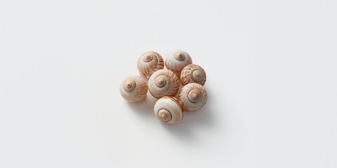 Obraz premium White background with multiple snail shells, ideal for nature-themed layout or educational material