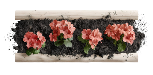 Cedar raised garden bed shows flowers planted in soil. The setting is ready for gardening activities. This design allows for easy care and vibrant plants