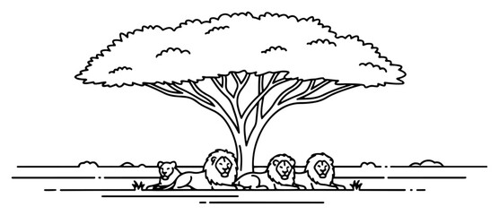 African savanna landscape with a pride of lions resting under an acacia tree © Cristiano
