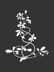 On a black background weaving oak tree branches