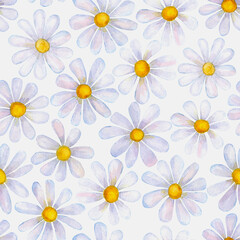 Watercolor chamomile flowers. Beautiful floral seamless pattern