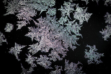 Ice flowers on black