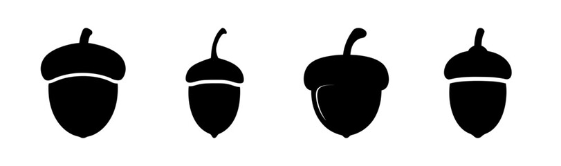 Four black acorns with different shapes and sizes arranged in a horizontal line on white background © Suriya