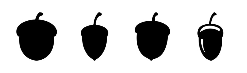 Silhouette illustration of four acorns in varying stages of development and openness on white background © Suriya