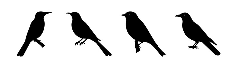 Obraz premium Four silhouetted birds perched on branches against a white background in a simple illustration