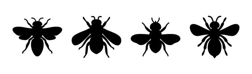 Four insect silhouettes in a row with varying wing shapes and antenna designs in black © Suriya
