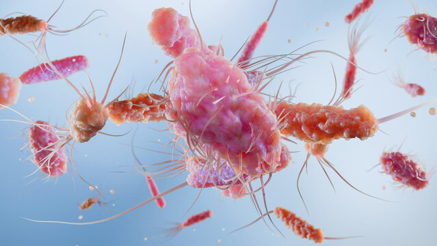 Bacteria with Different Flagella Types, Monotrichous, Amphitrichous, Lophotrichous, Peritrichous, Medical Microbiology animation, Motile Bacterial Cells, Rod-Shaped and Spiral Bacteria, Microscopic An