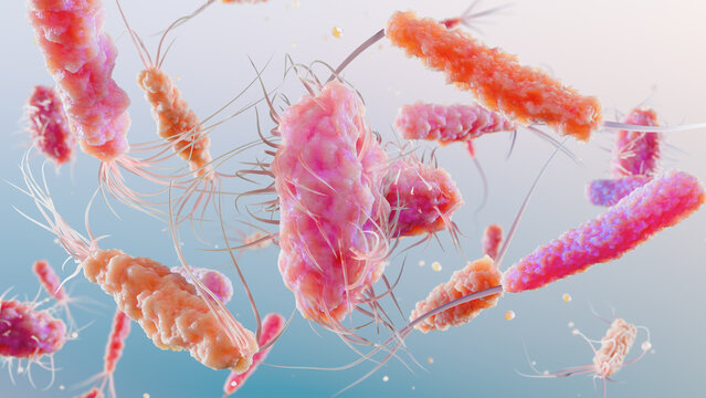 Bacteria with Different Flagella Types, Monotrichous, Amphitrichous, Lophotrichous, Peritrichous, Medical Microbiology animation, Motile Bacterial Cells, Rod-Shaped and Spiral Bacteria, Microscopic An