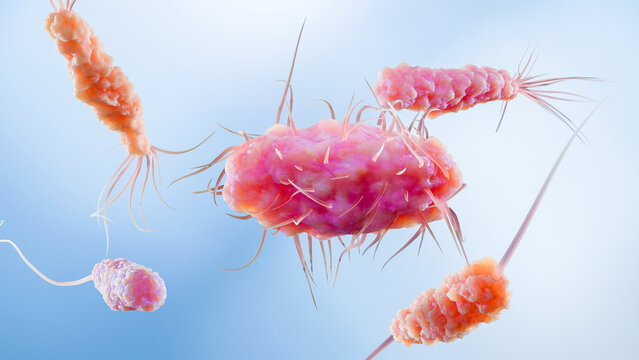 Bacteria with Different Flagella Types, Monotrichous, Amphitrichous, Lophotrichous, Peritrichous, Medical Microbiology animation, Motile Bacterial Cells, Rod-Shaped and Spiral Bacteria, Microscopic An