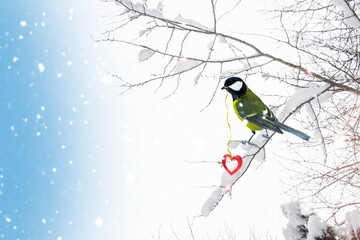 A titmouse sits on a tree branch, holding a heart in its beak. Winter forest. Snow. Valentine's Day.