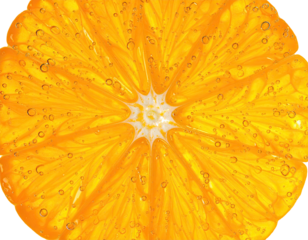 Close-up of a juicy, translucent orange slice with bubbles, radiating vibrant color and texture