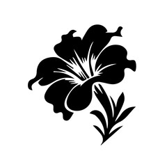 Petunia black and white flower