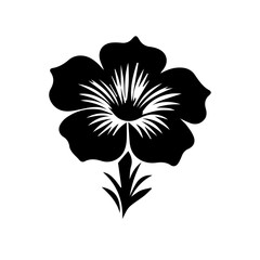 Petunia black and white flower