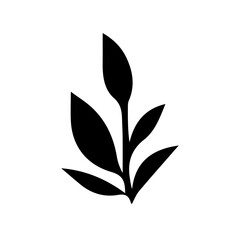 Petunia black and white flower