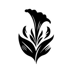 Petunia black and white flower