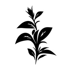 Petunia black and white flower