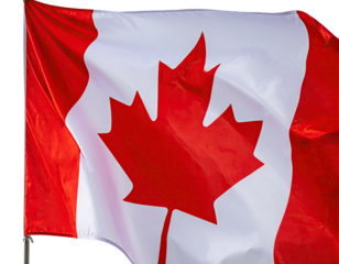 Close-up of a national emblem; maple leaf on a white background with red borders