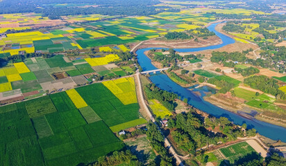An aerial view shows a river curving through the countryside, bordered by patchwork farmland where mustard crops in full bloom © 光画社 (Kōgasha)