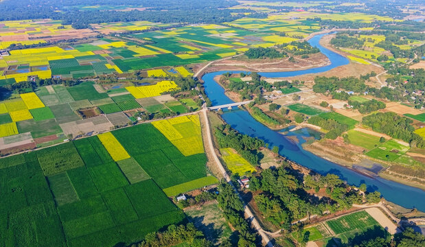 An aerial view shows a river curving through the countryside, bordered by patchwork farmland where mustard crops in full bloom