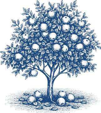 Vintage illustration of an apple tree laden with fruit on a grassy mound apples harvest