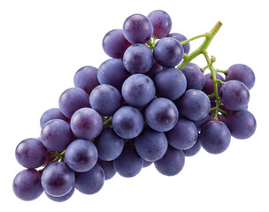 Fototapeta premium Bunch of purple grapes with a natural bloom on each berry.