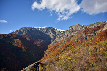 Obraz premium Autumn mountain landscape of the nature reserve Bulgaria National Park Central Balkan Mountains Stara Planina difficult terrain high cliffs steep ravines sunny day blue sky clouds autumn foliage color