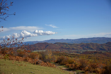 Mountain landscape cirrus clouds fog trees pine trees dry grass autumn forest flora nature stones rocks panorama