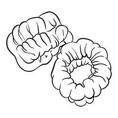 Microfibre Wrist Wash Bands. Wrist towels. Protection tool from water splash. Isolated icon on the transparent background. Hand drawn digital illustration. SVG