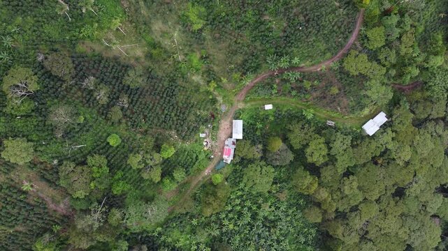 aerial view remote homestead peruvian rainforest showing dirt path redroofed cabin white outbuilding