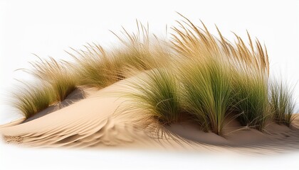 Dune Grass And Sand Isolated On A Transparent Background