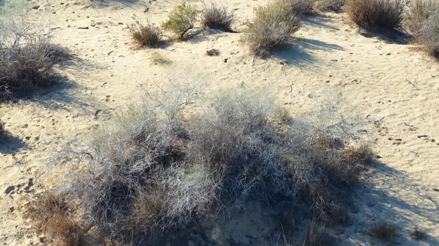 Drone captured cinematic views of the Cholistan Desert and Derawar Fort in Pakistan, vast golden sand dunes and historic fortress landscape filmed from an overhead aerial perspective during daytime, i