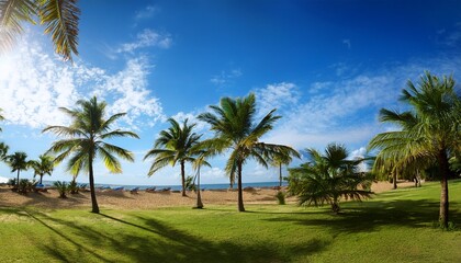 Naklejka premium Palm Trees And Blue Sky