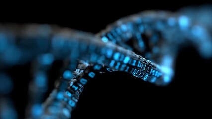 Digital dna helix animation scientific concept of genetics and coding - Powered by Adobe