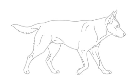 Elegant dog outline illustration, showcasing a walking canine in minimalist black and white design