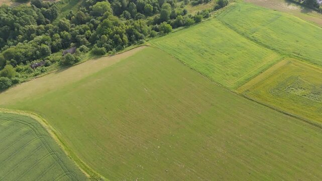 Aerial view of a sloped agricultural field bordered by dense forest with uniform grass texture and subtle surface movement under bright daylight