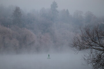Buoy in the Fog