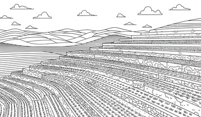 Fototapeta premium an intricate line drawing depicts a terraced landscape featuring cascading levels of fields and a distant cloudy horizon suggesting agricultural land high quality