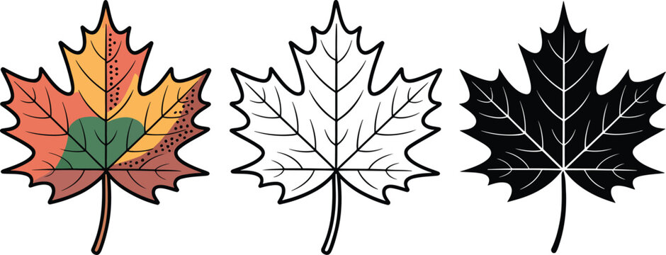 Maple leaf silhouette & Outline and illustration set isolated on transparent background