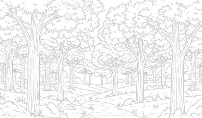a detailed black and white illustration depicts a winding pathway through a dense forest of tall trees with foliage high quality professional modern