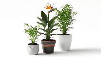 Obraz premium Three potted plants with vibrant blooms