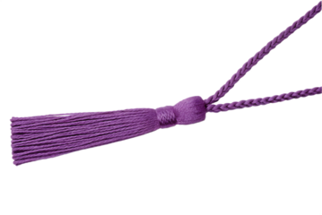 Purple silk tassel with cord isolated on white background