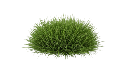 Green grassy ball isolated on transparent background for design and decoration purposes