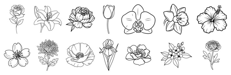 Flower Outline Icon Set Botanical and Floral Line Art Illustrations