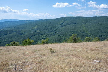 Naklejka premium Landscape of Rudina mountain, Bulgaria