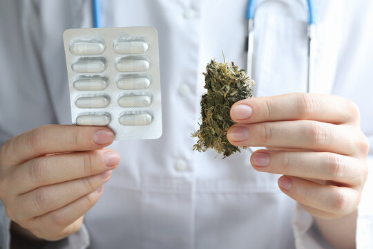 Doctor with dried medicinal herbs and pills, closeup