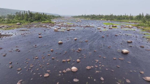Gambo River, Newfoundland