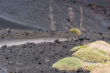 Dirt road among lava fields on the slopes of Mount Etna in Sicily during a sunny day