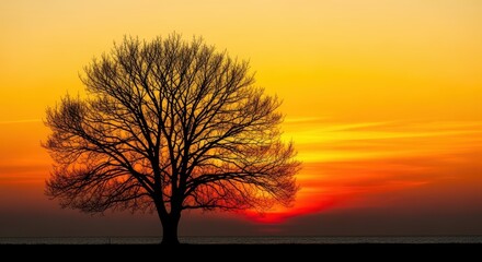 Beautiful nature landscape featuring a dramatic tree and branch silhouette against vibrant yellow and orange sunset colors, sky, copy space, warm