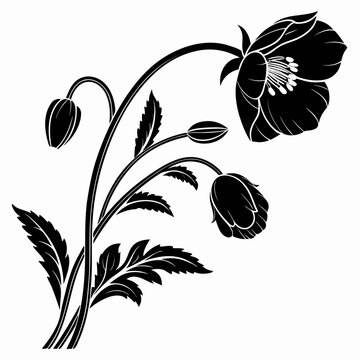 Creative Detailed Himalayan Blue Poppy Vector Illustration | Rare Alpine Wildflower Botanical Artwork | Blue Flower Design