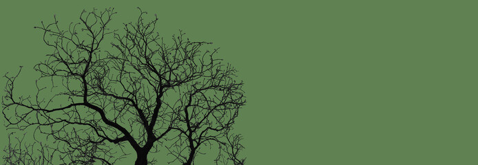 Obraz premium Black silhouette of a leafless tree with branches on a green background and copy space. Minimal nature composition symbolizing contrast, calm, solitude, modern aesthetic. banners, posters and design